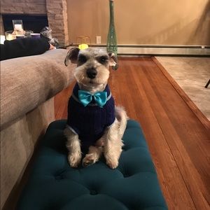 Meet your Posher, Leon